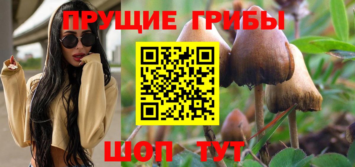 Прохладный  Галлюциногенные грибы ЛСД  Псилоцибиновые грибы Psilocybine cubensis  Вход с VPN 